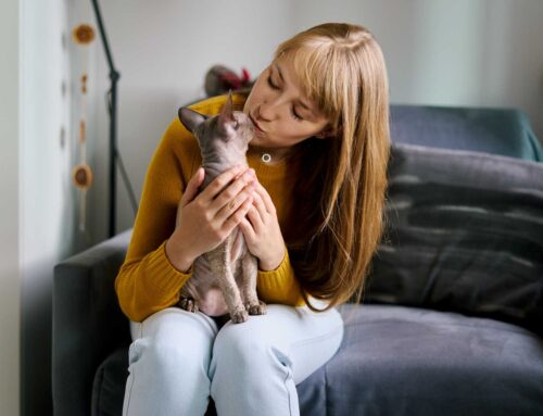 Pai e mãe de pet: O que diz a ciência sobre esse amor?