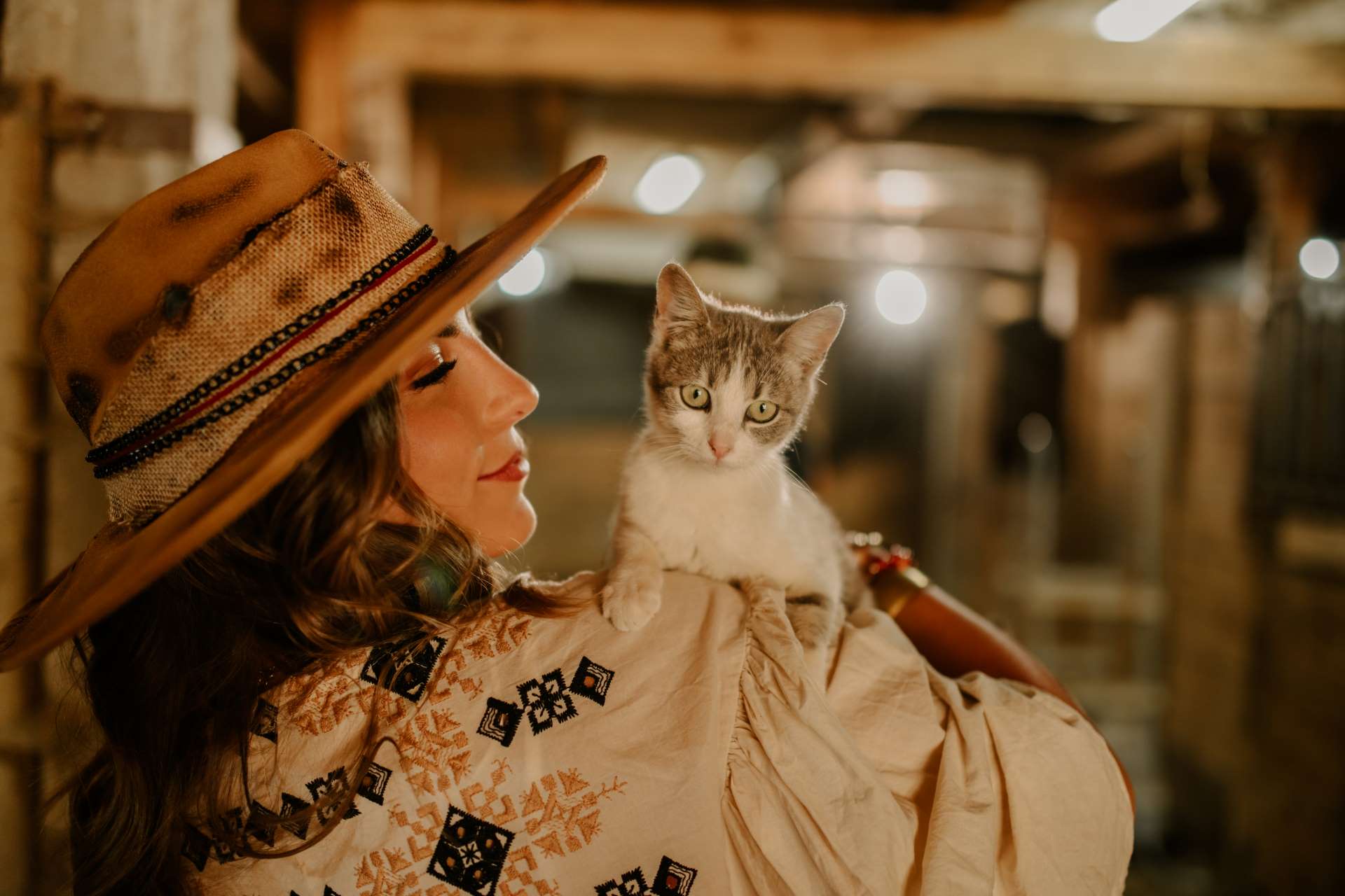 Por que meu gato ronrona?